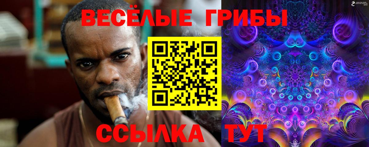 Псилоцибиновые грибы Magic Shrooms Новочеркасск