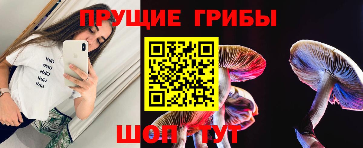 Псилоцибиновые грибы Psilocybine cubensis  Вход с VPN  где можно купить   Новочеркасск 
